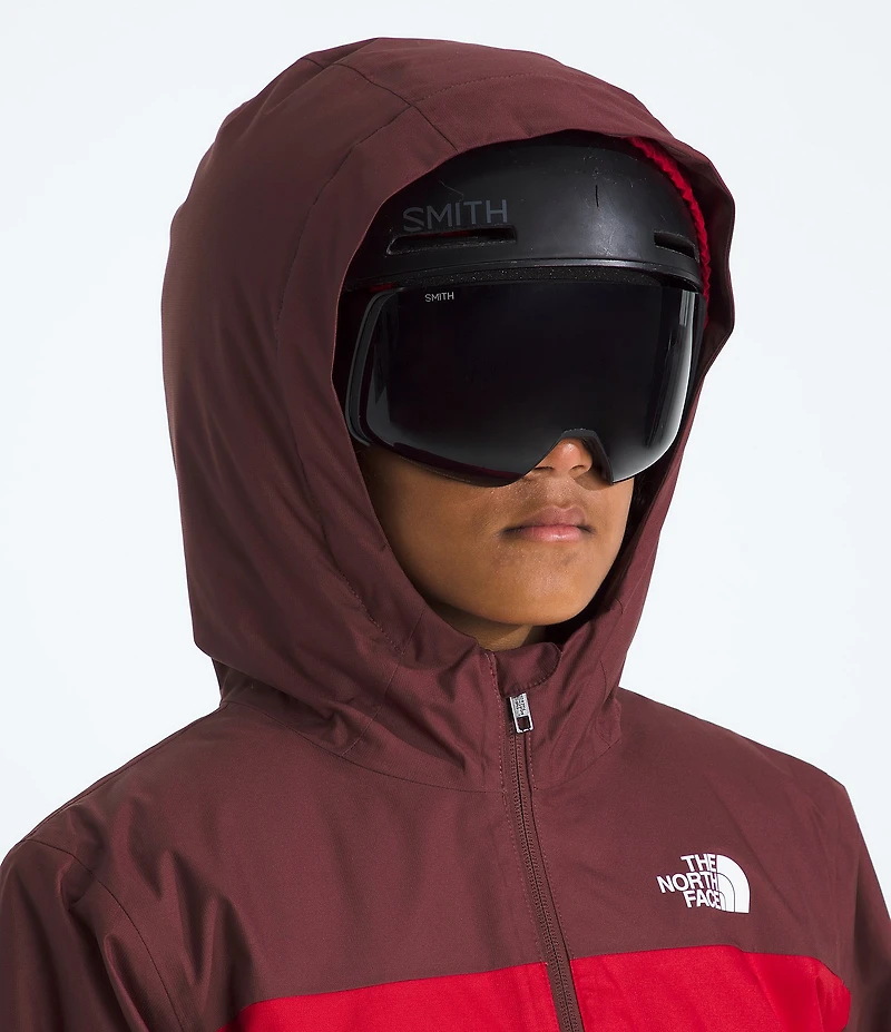 The North Face Little/Big Boys Long Sleeve Freedom Insulated Jacket