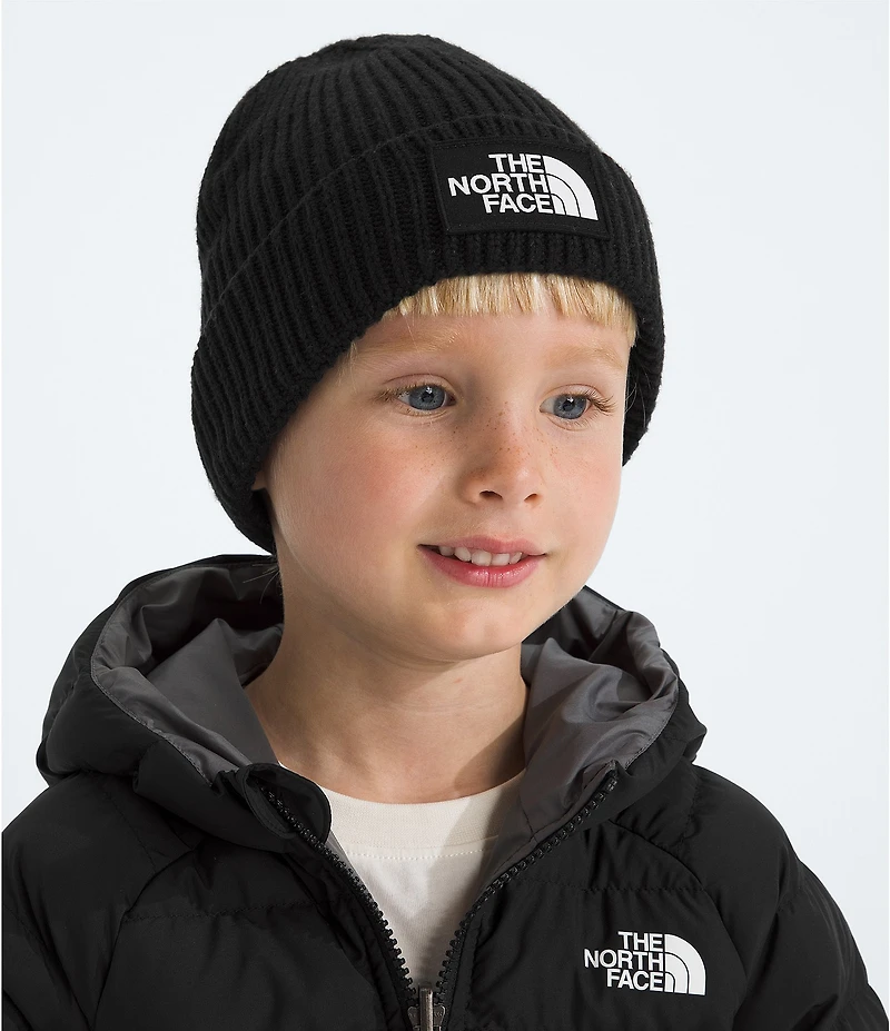 The North Face Little/Big Boys TNF™ Logo Box Cuffed Beanie