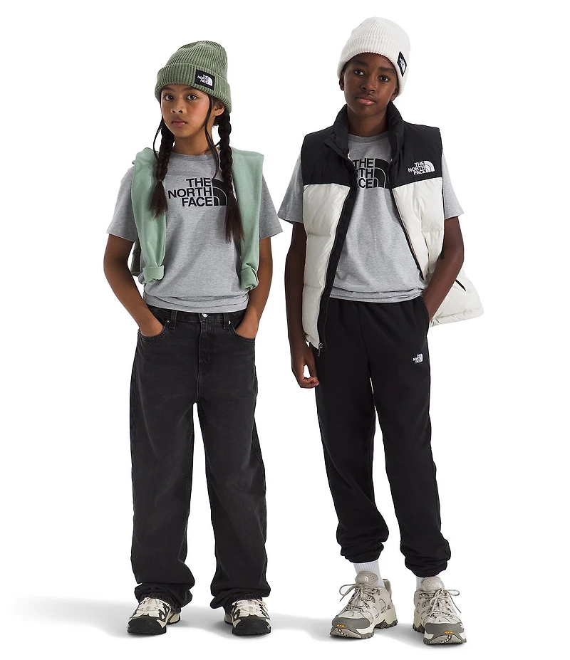 The North Face Little/Big Kids Evolution Half Dome Short Sleeve T-Shirt