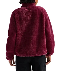 The North Face Osito Evolve Stand Collar Half Zip Pullover Jacket