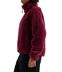 The North Face Osito Evolve Stand Collar Half Zip Pullover Jacket