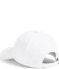The North Face Recycled 66 Classic Hat