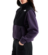 The North Face Retro Denali Zip Front Jacket
