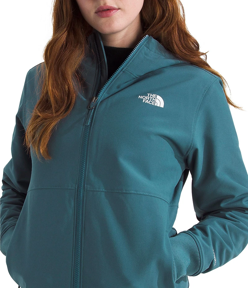 The North Face Shelbe Raschel Hoodie