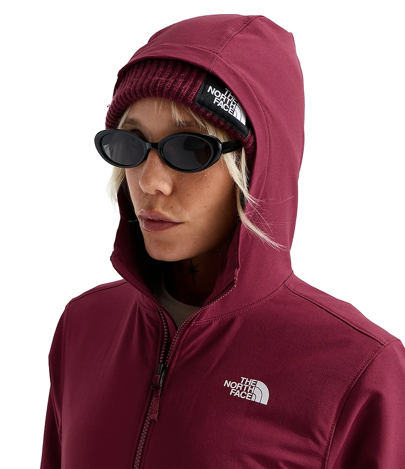The North Face Shelbe Raschel Windbreaker