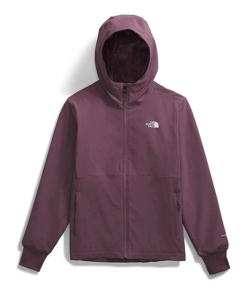 The North Face Shelbe Raschel Hoodie