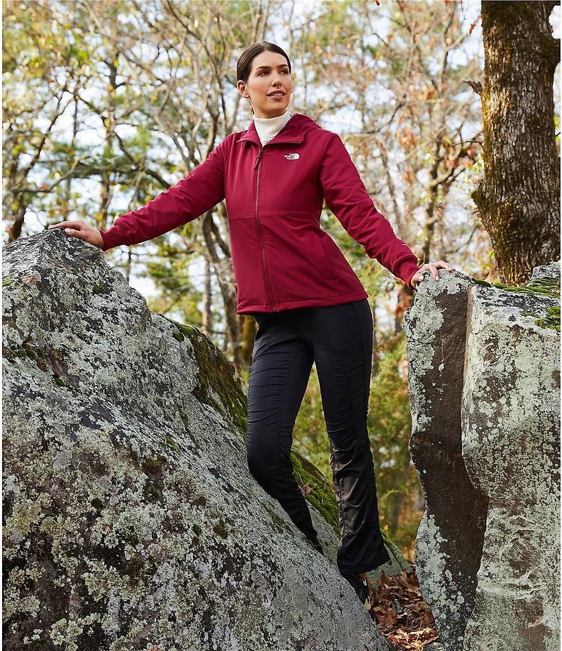 The North Face Shelbe Raschel Hoodie