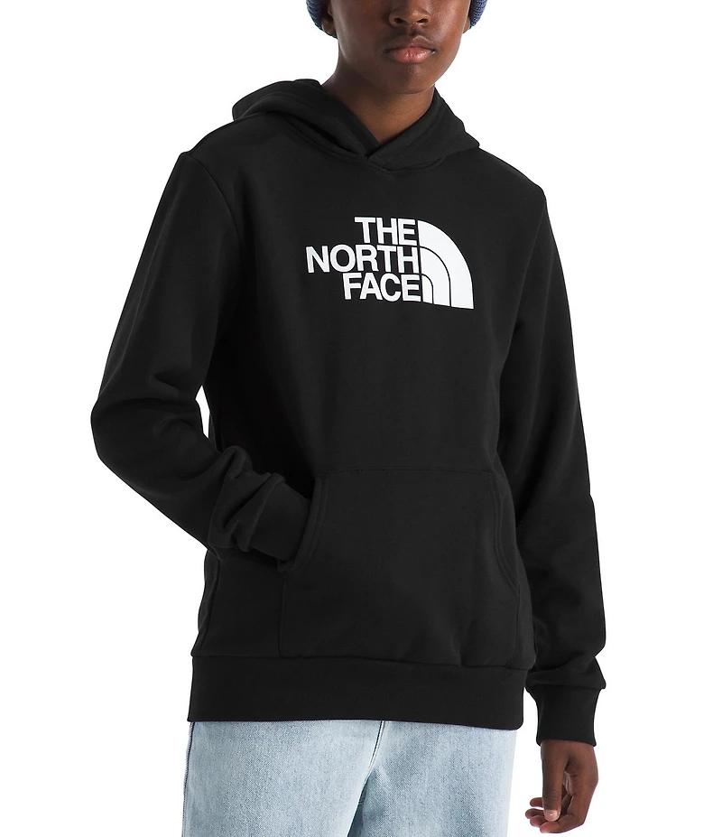 The North Face Teen Evolution Half Dome Pullover Hoodie