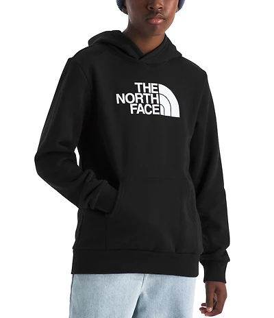 The North Face Teen Evolution Half Dome Pullover Hoodie
