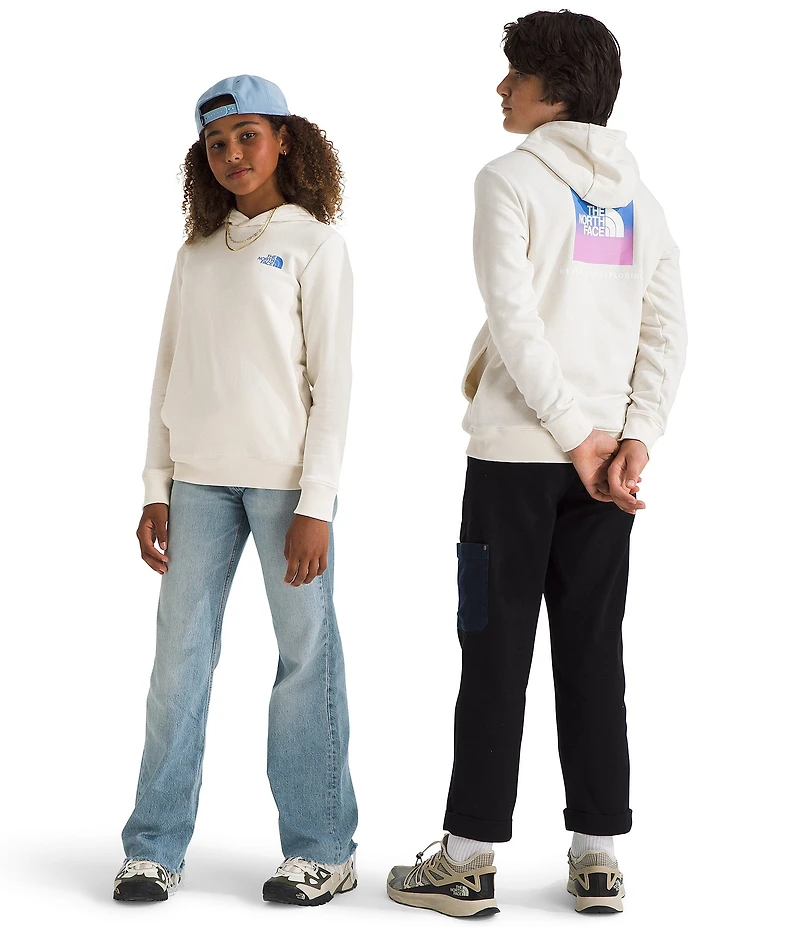 The North Face Teen Long Sleeve Box NSE Graphic Pullover Hoodie