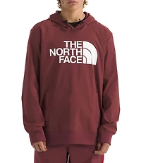 The North Face Tekno Logo Fleece Hoodie