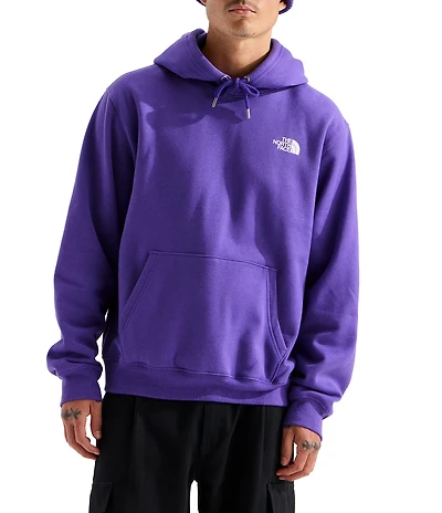 The North Face Tested And Proven Relaxed Hoodie