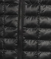 The North Face ThermoBall Stand Collar Zip Front Jacket