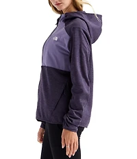 The North Face TNF Performance Fleece Hoodie Zip Front Jacket