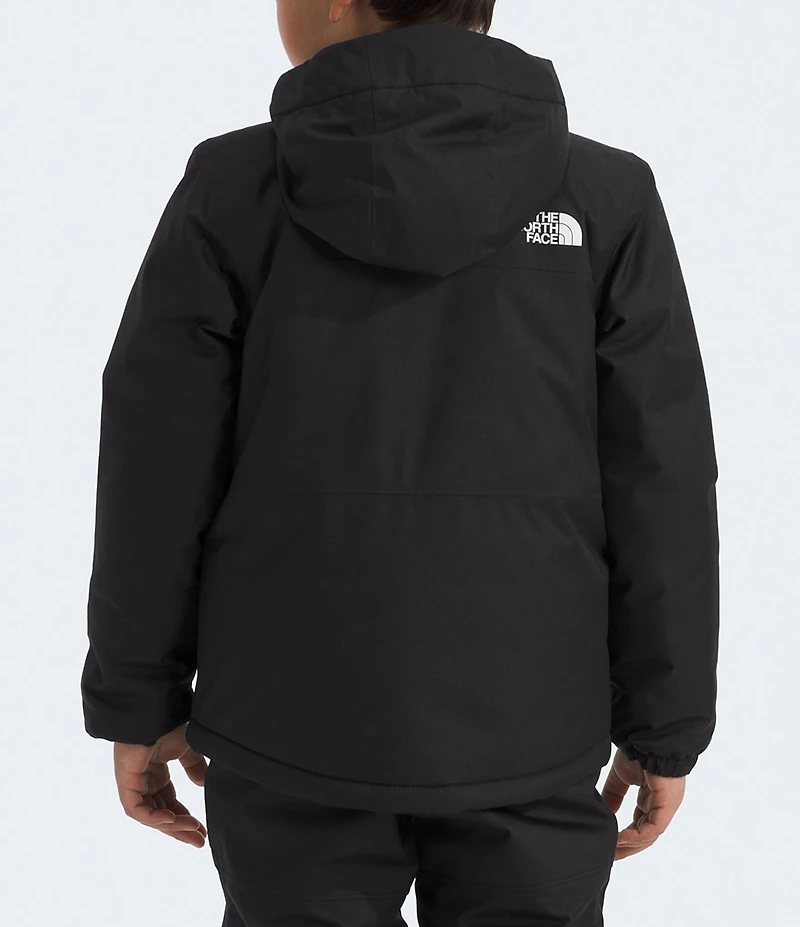 The North Face Little Kids Solid Freedom Insulated Jacket