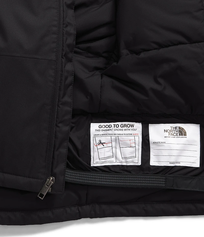 The North Face Little Kids Solid Freedom Insulated Jacket