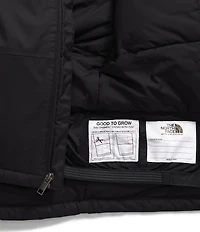 The North Face Little Kids Solid Freedom Insulated Jacket