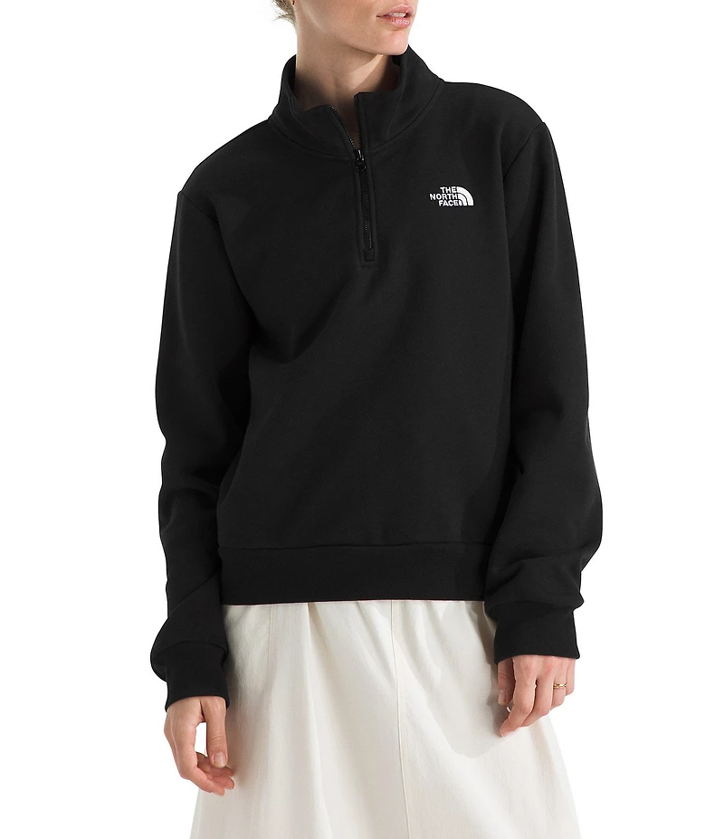 The North Face Evolution Embroidered Logo Mock Neck Quarter Zip Pullover