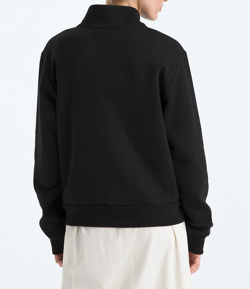 The North Face Evolution Embroidered Logo Mock Neck Quarter Zip Pullover