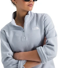 The North Face Evolution Embroidered Logo Mock Neck Quarter Zip Pullover