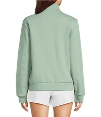 The North Face Evolution Embroidered Logo Mock Neck Quarter Zip Pullover
