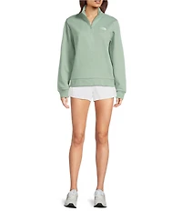 The North Face Evolution Embroidered Logo Mock Neck Quarter Zip Pullover