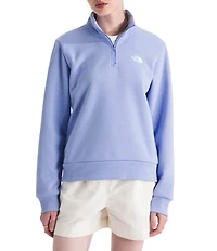 The North Face Evolution Embroidered Logo Mock Neck Quarter Zip Pullover
