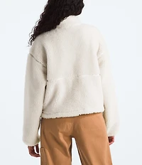 The North Face Extreme Pile Stand Collar Pullover