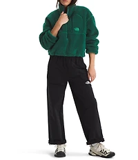 The North Face Extreme Fleece Pile Stand Collar Pullover