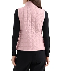 The North Face Junction Insulated Stand Collar Zip Front Vest