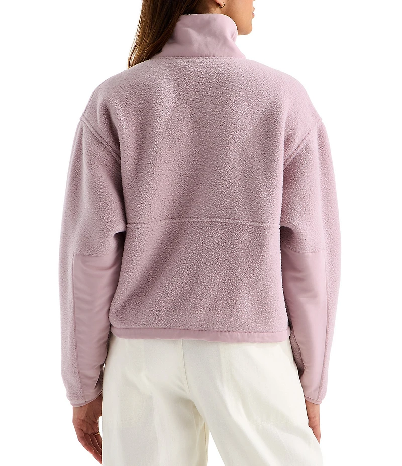 The North Face Yumiori Off Peak Fleece Double Layer Stand Collar Half Zip Pullover Jacket