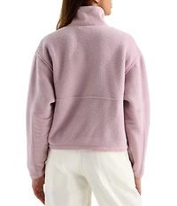 The North Face Yumiori Off Peak Fleece Double Layer Stand Collar Half Zip Pullover Jacket