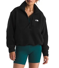 The North Face Yumiori Off Peak Double Layer Stand Collar Half Zip Pullover Jacket