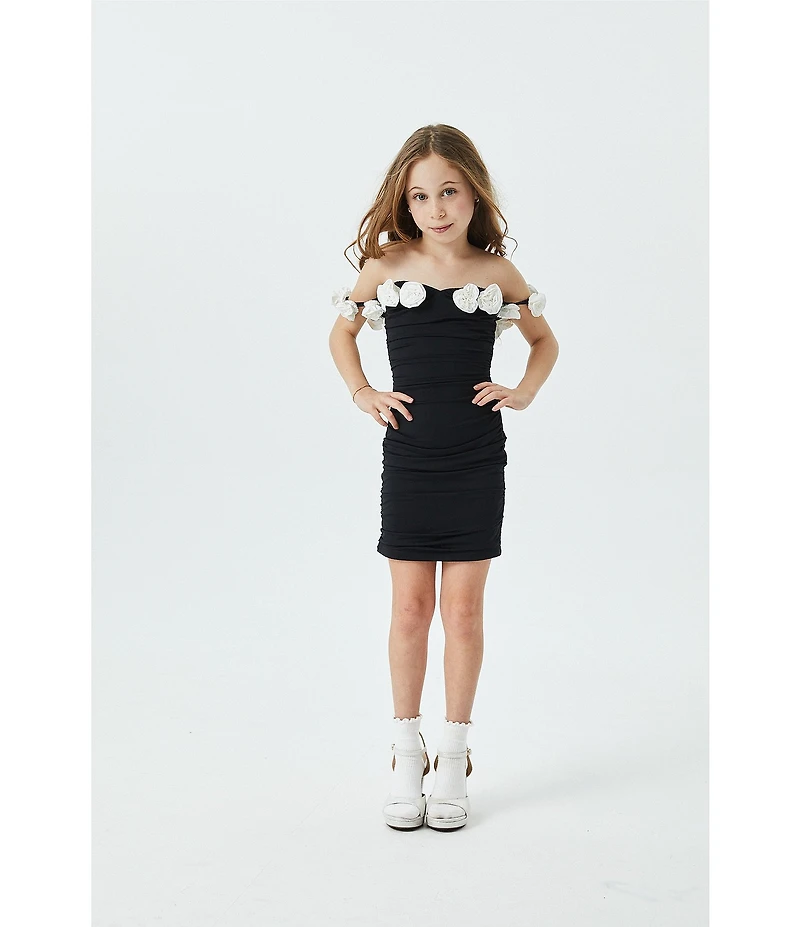 Theme NYC Big Girls Cameron 3D Floral Rosette Trim Sleeveless Off-The-Shoulder Dress