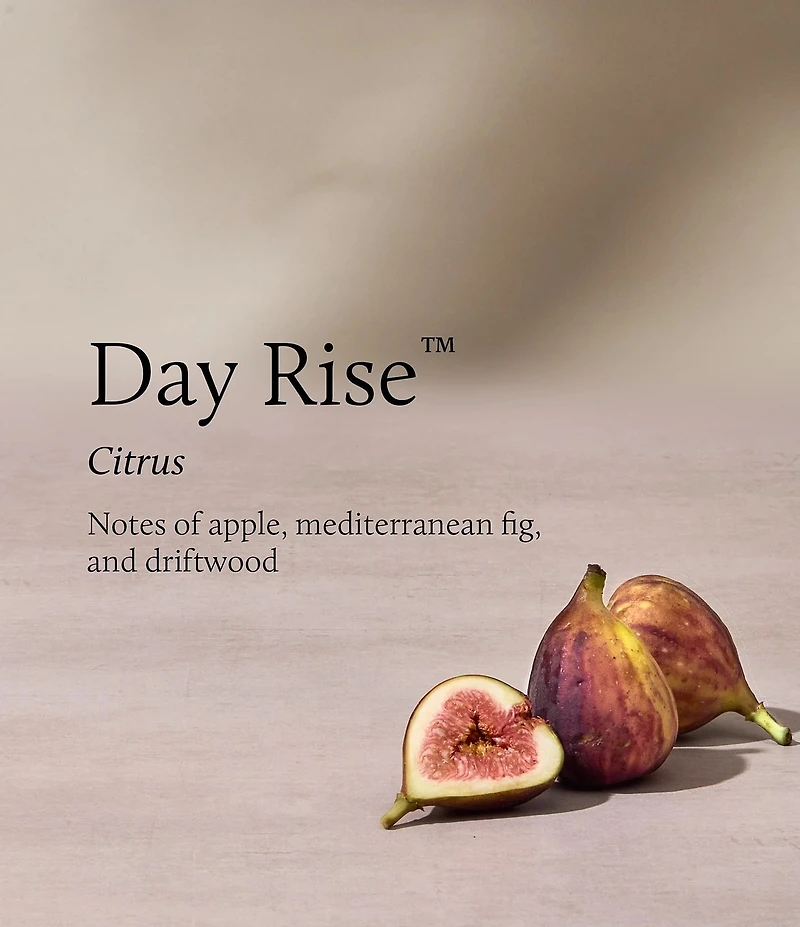 Thymes Day Rise 2-Wick Aromatic Candle, 13 oz.