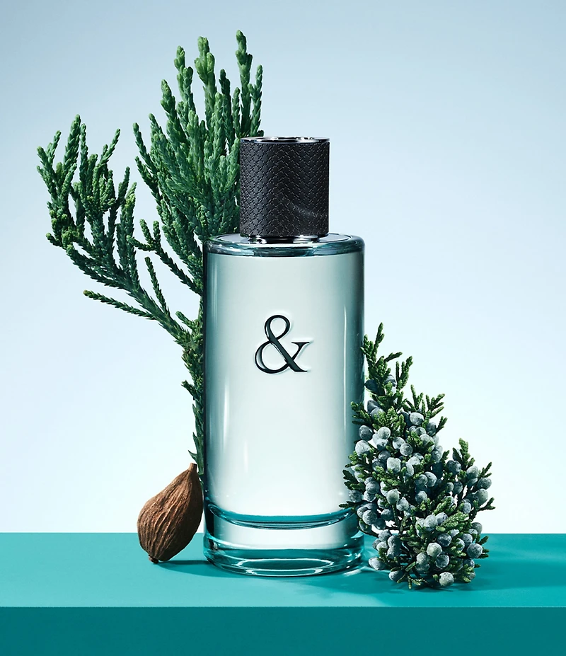 Tiffany & Co. Men's Tiffany & Love Eau de Toilette Gift Set
