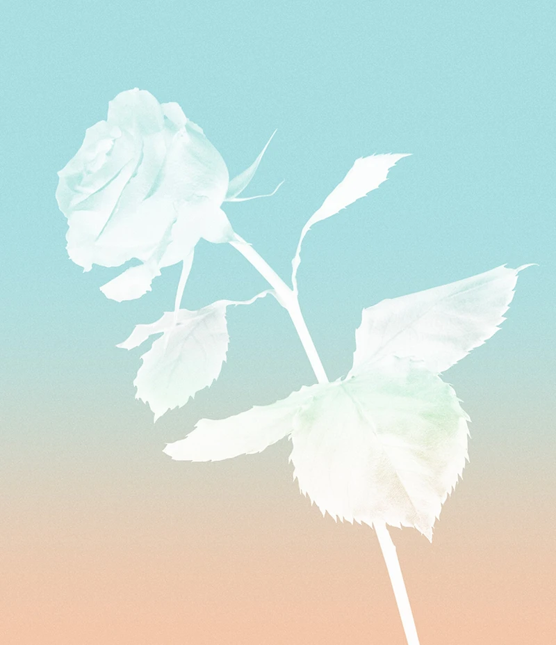 Tiffany & Co. Rose Gold Eau de Parfum