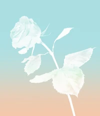 Tiffany & Co. Rose Gold Eau de Parfum