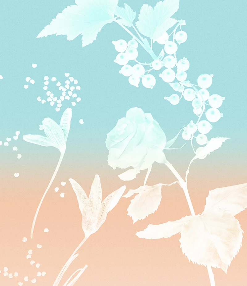 Tiffany & Co. Rose Gold Eau de Parfum