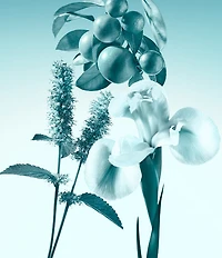 Tiffany & Co. Tiffany Eau de Parfum Spray