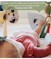 Tiny Love Boho Chic Luxe Developmental Gymini