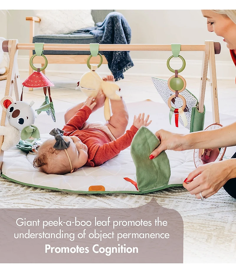 Tiny Love Boho Chic Luxe Developmental Gymini