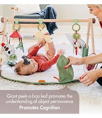 Tiny Love Boho Chic Luxe Developmental Gymini