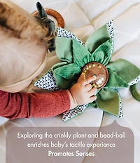 Tiny Love Boho Chic Luxe Developmental Gymini