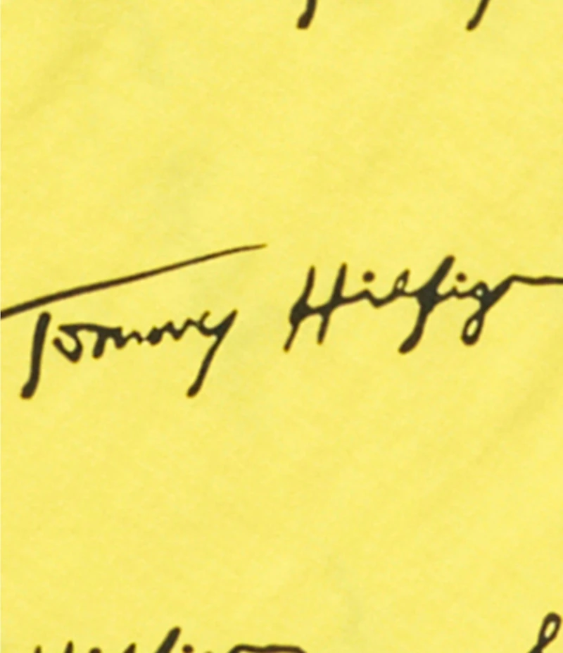 Tommy Hilfiger Big Boys Short-Sleeve Angled Script T-Shirt