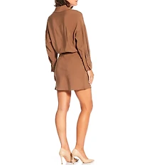 TOPSHOP Collared Long Sleeve Micro Mini Shirt Dress