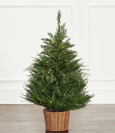 Trimsetter 3-ft. Pre-Lit Cypress Tree in Basket