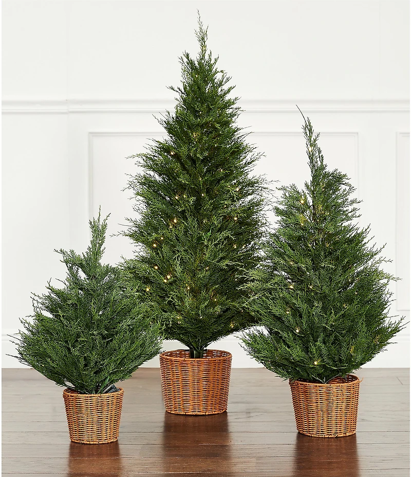Trimsetter 4-ft. Pre-Lit Cypress Tree In Basket