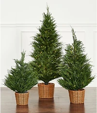 Trimsetter 4-ft. Pre-Lit Cypress Tree In Basket