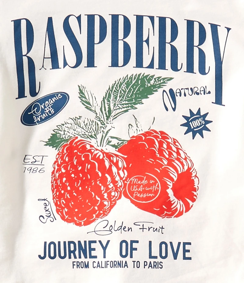 Tween Diva Big Girls Short Sleeve Raspberry Jersey T-Shirt & Solid Knit Skort Set